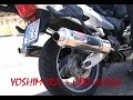 yoshimura + cbr 1100 xx