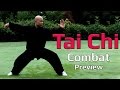 Tai Chi Combat 2 video Preview