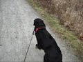 A Walk In The Park With Spike