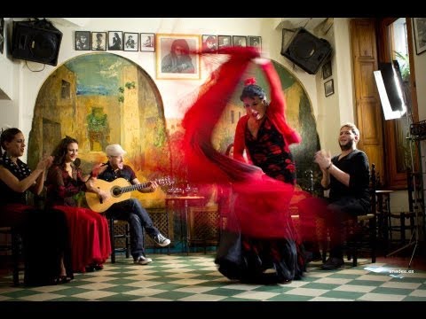 el chinchilla - capricho del sur