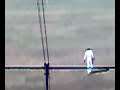 India v Pakistan, 3rd Test, Bangalore, 2nd day @my N73m