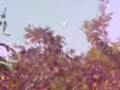 NON è un UFO!!!