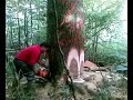 Tahtacılar