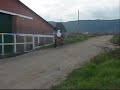 Ñatica 0001