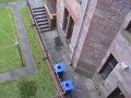 rats-in-springburn.html
