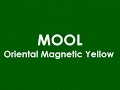 MOOL O.M.Y