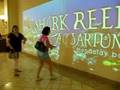 amy at shark reef