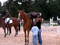 remise des prix