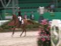 videos de Showjumping!!!