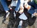 videos de J1J a strasbourg