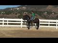 Raz from the Golan Heights, Israel with Uraneo at kilimanjaro ranch Malibu Ca.