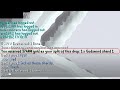 Stior Drops - 80m + Loot! - Must Watch! [RS]