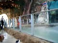 Pattaya Crocodile Farm Show Pattaya Crocodile Farm Show
