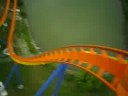 rollercoaster The Bohemouth