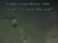 Moon In High Res filmed by JLW - looks like some of the things in Alex Collier's photos