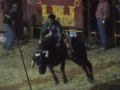 accidente en el jaripeo anenecuilco morelos torneo rey de reyes vs campeon de campeones accidente en el jaripeo anenecuilco morelos torneo rey de reyes vs campeon de campeones