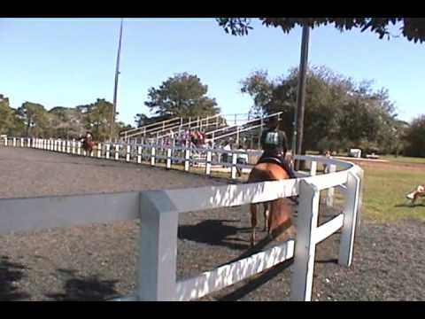 Jackie Riding Trooper at Wickham Park 26-Oct-08