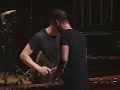 the flight of the bumblebee