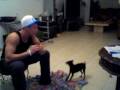 FUNNY PET TRICKS