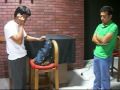 Corto secuestro