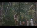 Allimalar-Kavile