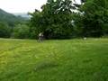www.surselva-fe rien.ch - YouTube