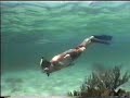 Dive 2