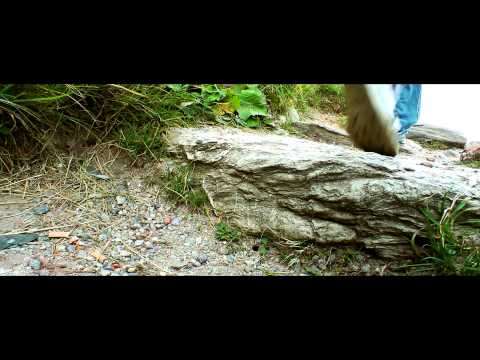Youtube Video Oqfqvl4SC90