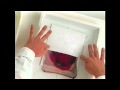 Polaroid Emulsion Transfer / Lift Demo