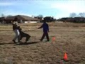 tito bite work