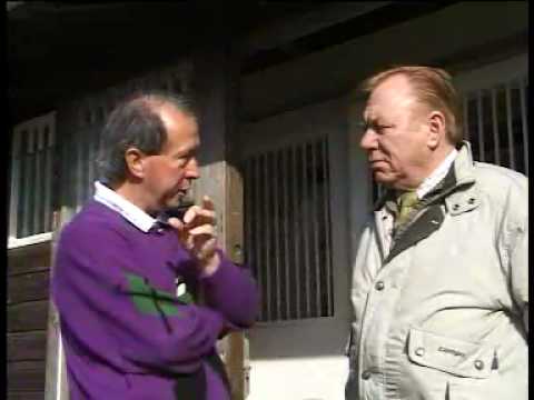 Ian Bell racing pigeons Simply The Best 9