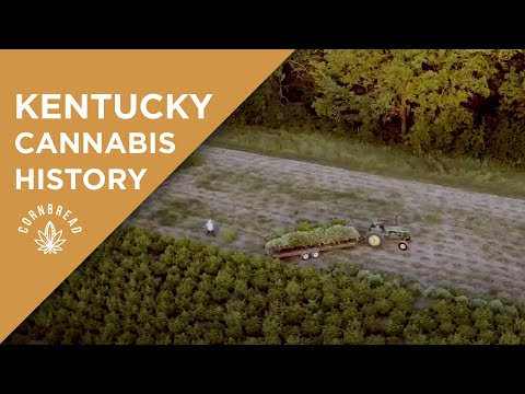 What Makes Kentucky CBD Companies Unique? Kentucky Cannabis History