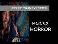 SWEET TRANSVESTITE