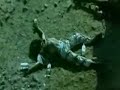 DORSO - ALQUIMIA Y BUSQUEDA DORSO - ALQUIMIA Y BUSQUEDA