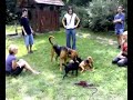 Amica, Flóra, Dió, Carlos és Skeg a kölyök vérfarkas:)
