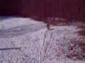 videos de enduro: salto husky wre su dosso di neve