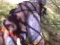 Orden de la Jarra Bosque Emboscada