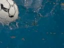 Boll i vattnet 2