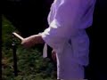 Kostner Kung Fu