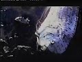 Rare Footage of Huge Sea Serpent