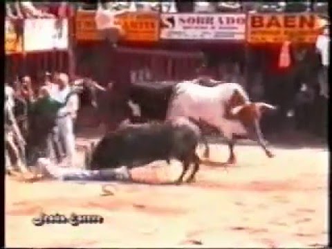 COGIDAS