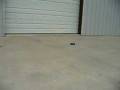 videos de rc 3.mov