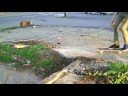 RE: cleanest treflip contest RE: cleanest treflip contest