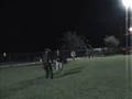 Kita - Belgian Malinois - Schutzhund Training