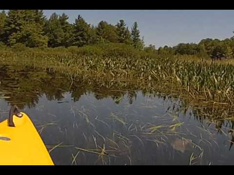 3 minute maine - Highlights of the yearly trip to Maine.