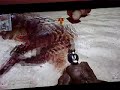 Click here to watch this video MW2 hot to get outside map in afghan + wasteland