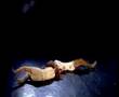 Maya and Tomer - Full Moon