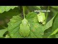 Tiere - Natur - Landschaften+Lizenzfreie Fotos - Royaltyfree Tiere - Natur - Landschaften+Lizenzfreie Fotos - Royaltyfree