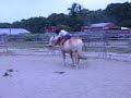 Charm picks up her cones