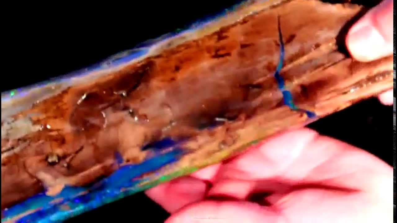 Freda's Log Opal found in Royal Peacock Opal Mine